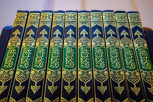 quran, book, holy, muslim, islamic, islam, religion, religious, quran, quran, quran, quran, quran